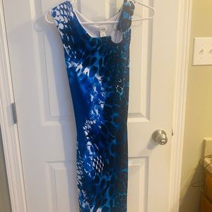 NWT cache dress
